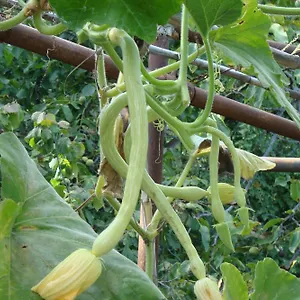  Appartement I Girasoli